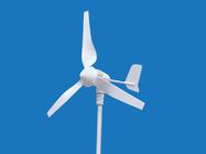 중국 격자 관제사 똑똑한 성과 떨어져 MPPT를 가진 400W 3 잎 바람 터빈 바람 발전기 회사