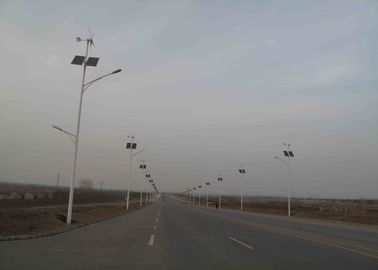 중국 600w 바람 발전기 스테인리스 회전자를 가진 30w 태양과 풍력 가로등 공장