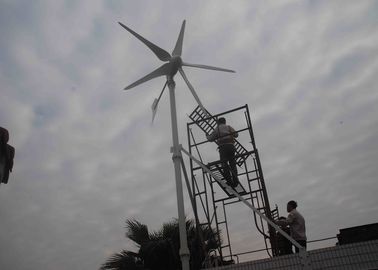 중국 격자 낮은 바람 시작 유형을 가진 잡종 태양풍 전원 시스템 떨어져 재생 가능 에너지 공장